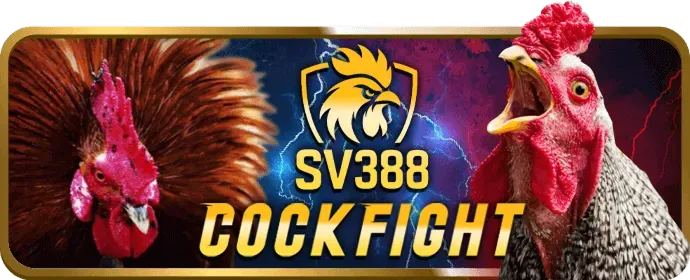 Lịch sử phát triển và độ tin cậy của nền tảng bigbet